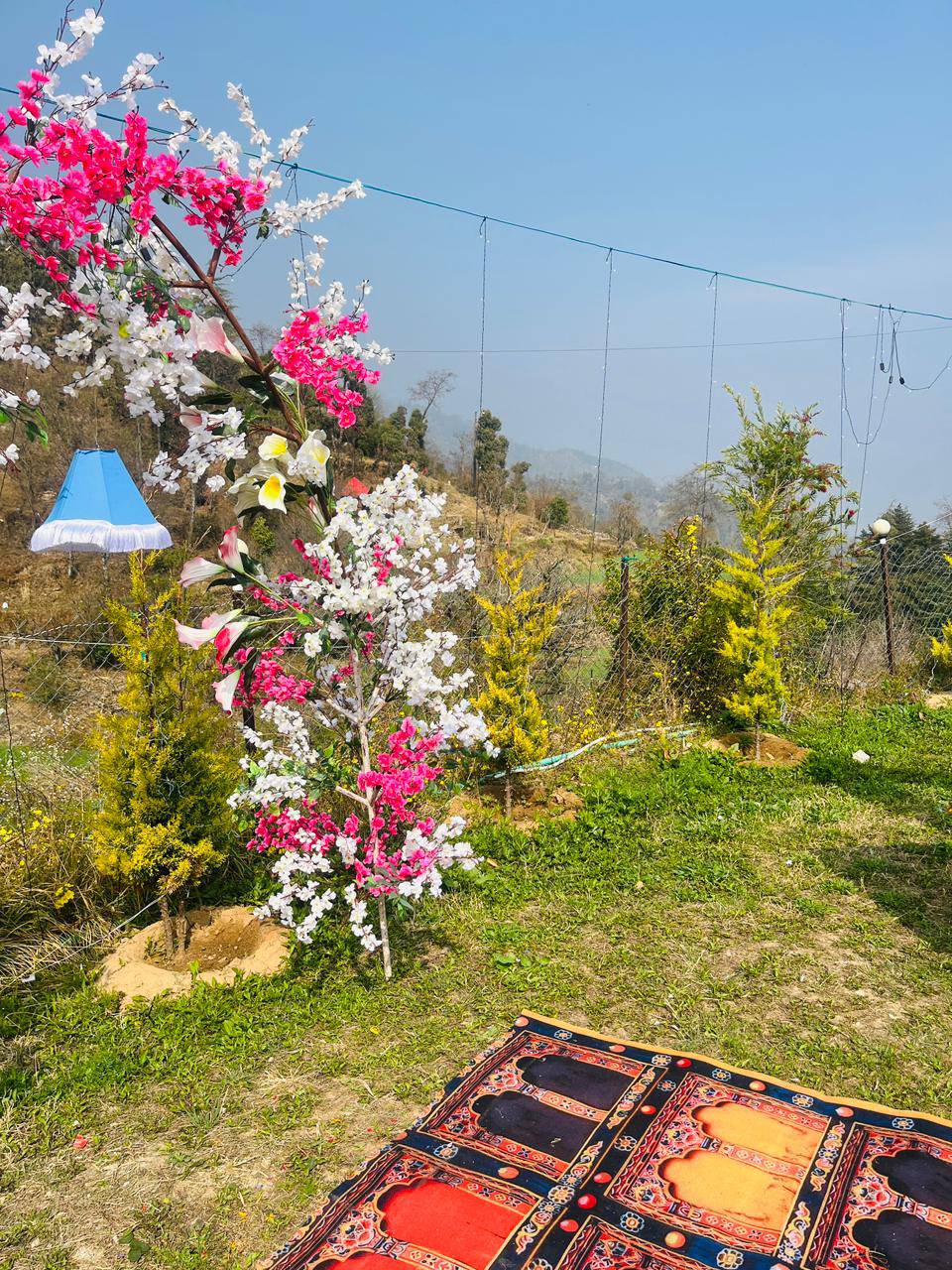 resort near the turiya heli resort phata